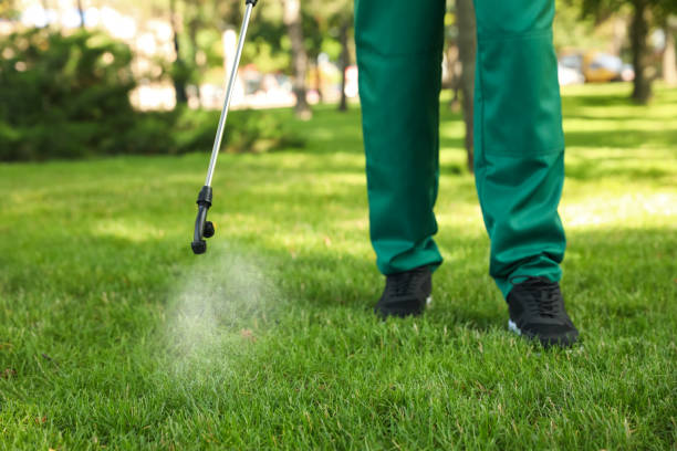Wasp Removal Services in Spackenkill, NY