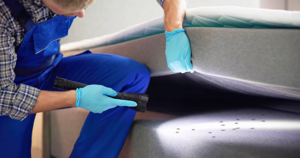 Best Rat Extermination Near Me  in Spackenkill, NY