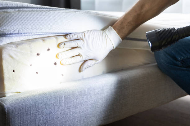 Best Exterminator Services  in Spackenkill, NY
