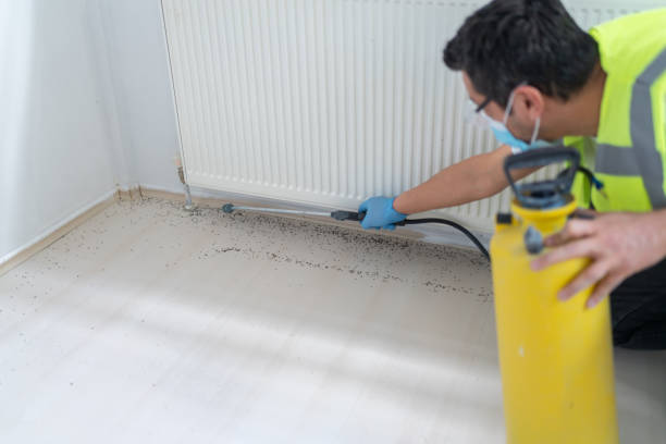  Spackenkill, NY Pest Control Pros